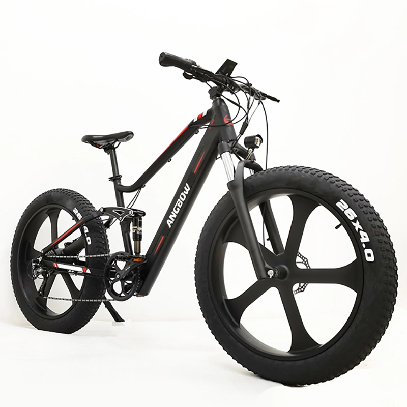 Elektrisches Fahrrad elektrisches Faltrad 750W Motor eBike