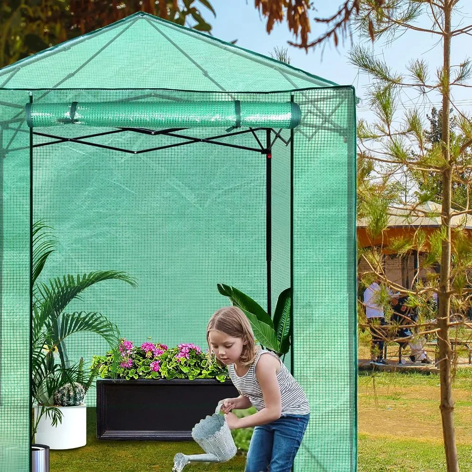 Portable Easy Setup Walk-in Greenhouse for Indoor Outdoor