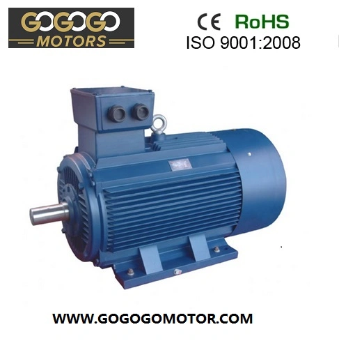 Y2 Series Cast Iron Housing Three Phase AC Electric Motors