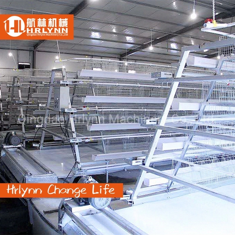 Africa Cheap Price Chicken Layer Cage with Fecal Cleaning System