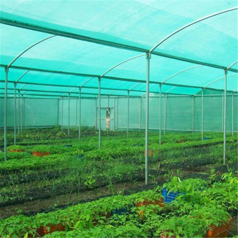 Hot Sale Plastic Building Safety Fence Net