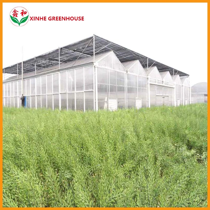 Growing Tunnel Green Polycarbonate Sheet Multispan House Greenhouse for Vegetables