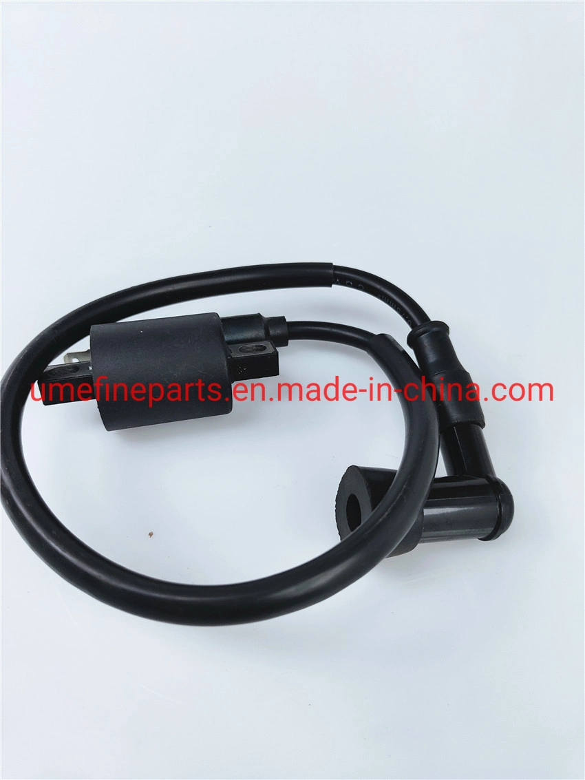 High quality/High cost performance 125cc Motorcycle Spare Parts Motorcycle Ignition Coil for Cg125