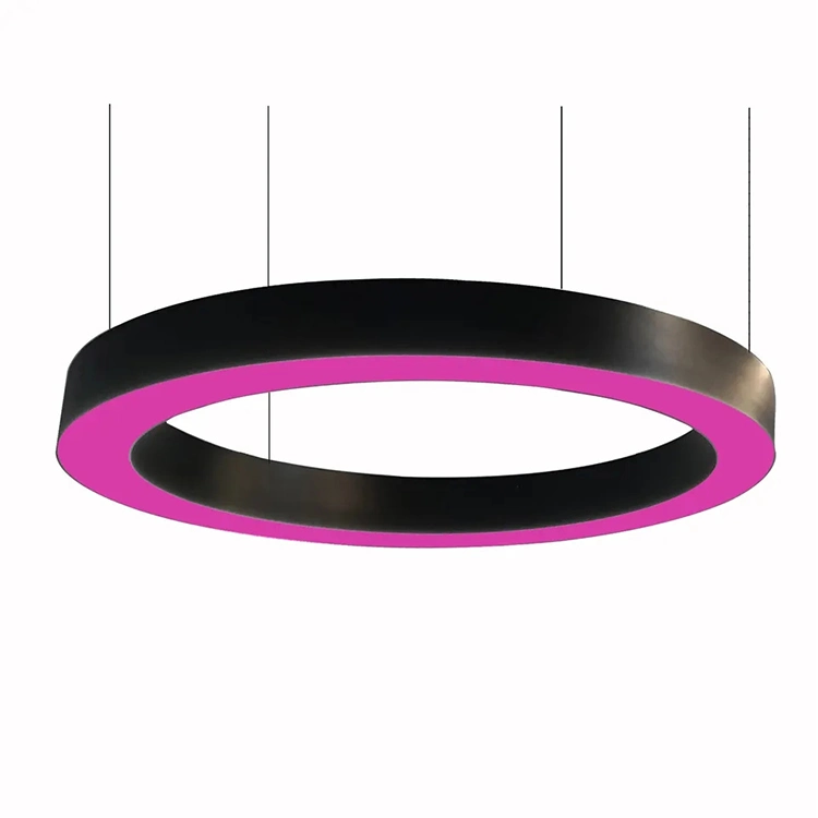 OEM Design RGBW LED Linear Aluminum Profile Light RGBW LED Ring Hanging Lamp for Fitness Room, Luxury Car Garage