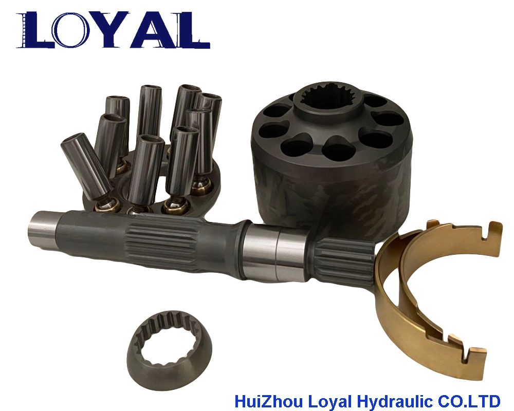 Hydraulic Spare Parts for Rexroth A10V43, A10V63, A10vd40, A10vd43, A10ve43, A10ec60, A10vsf28 Hydraulic Pump, Crawler Excavator, Power Tools