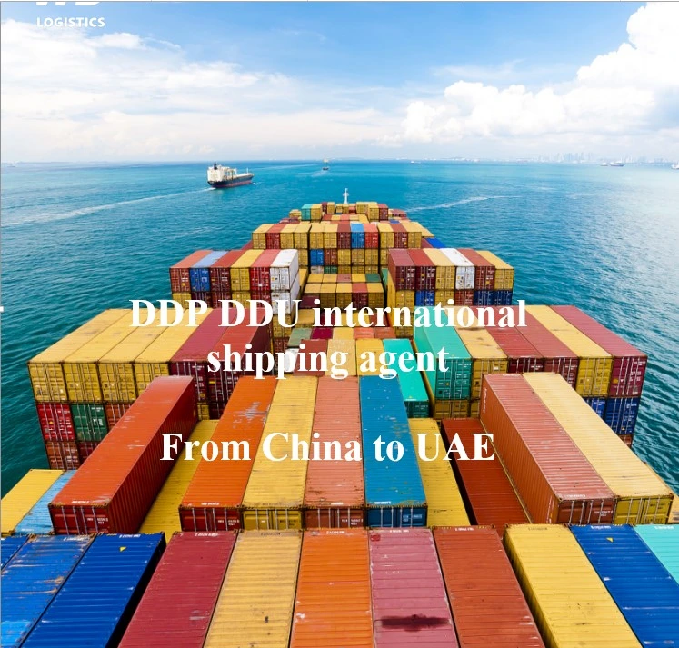 Share Toshipping Services Forwarder From China to UAE by Sea Freight DDP DDU International Shipping Agent