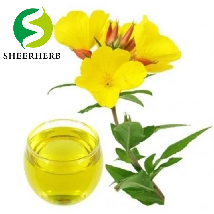 Wholesale/Supplier Bulk Evening Primrose Extract Pure Natural Organic Evening Primrose Oil Powder