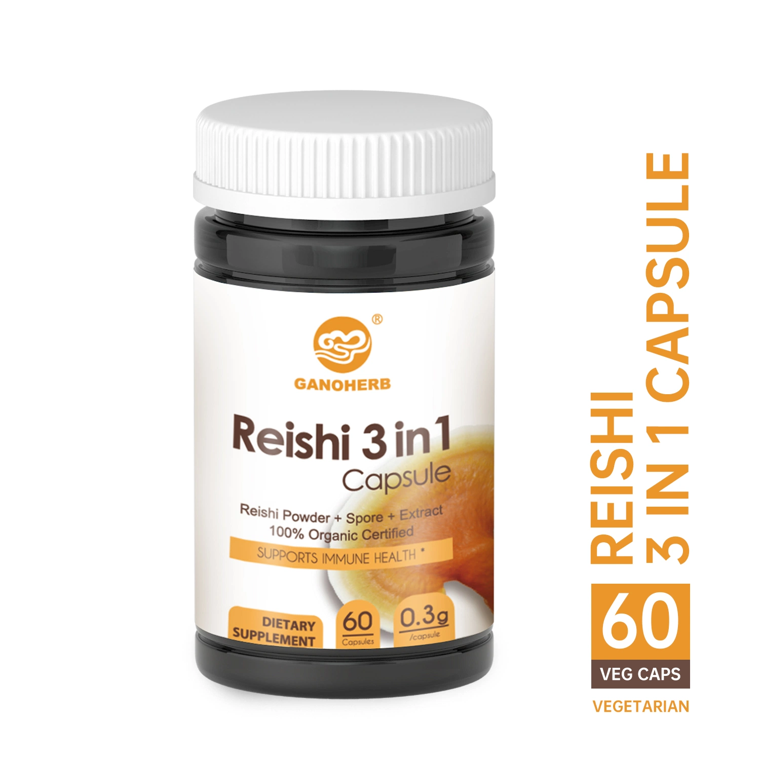 100% Organic Best Wholesale/Supplier Reishi Mushroom Capsule Reishi Capsule