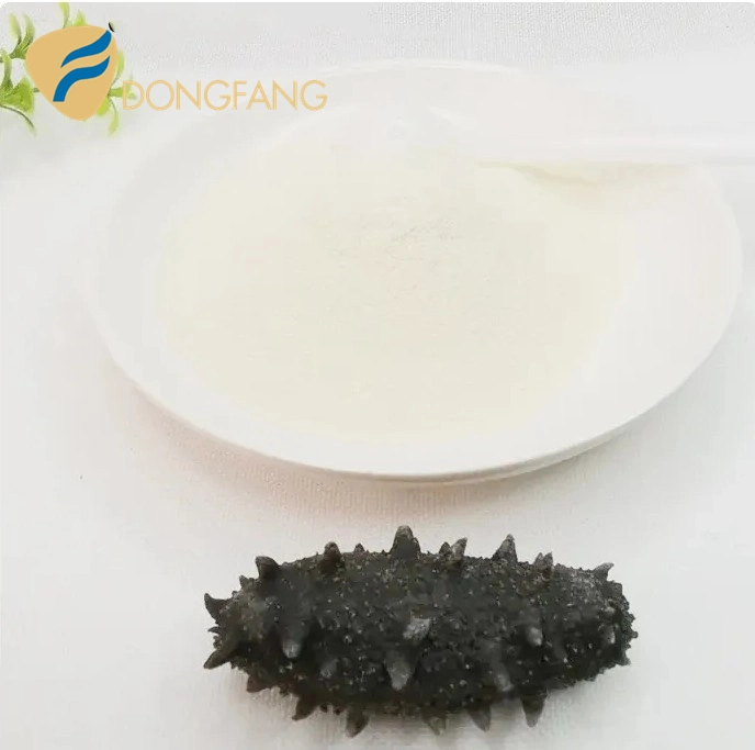 Best Price of Dried Sea Cucumber Protein Powder/ Sea Cucumber Peptide