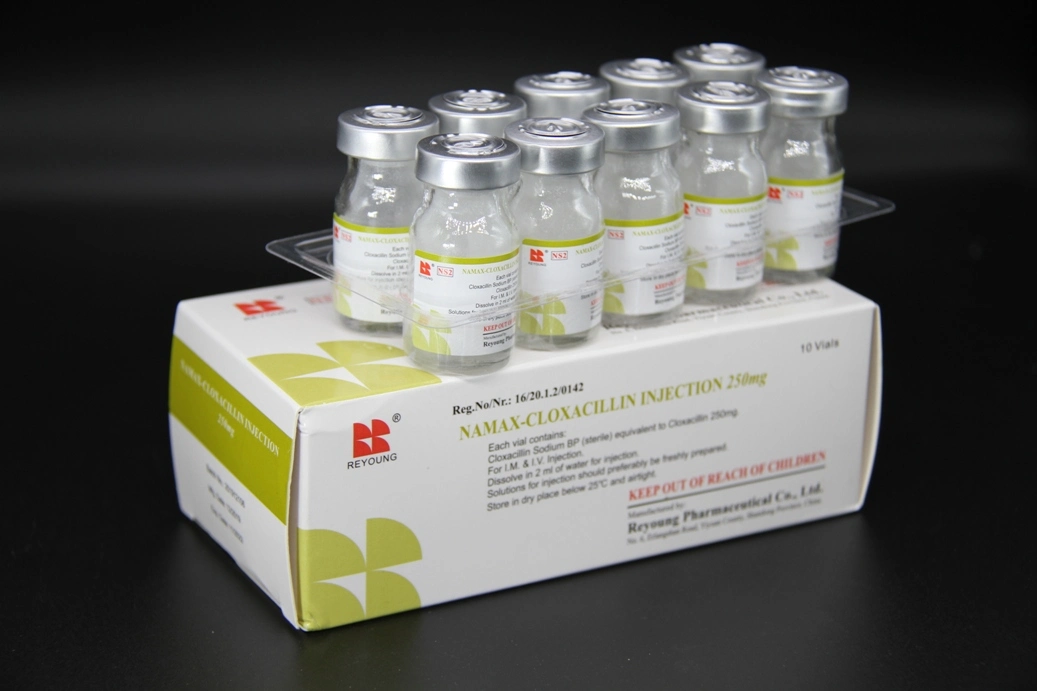 GMP Certified Cloxacillin Sodium for Injection 0.5g