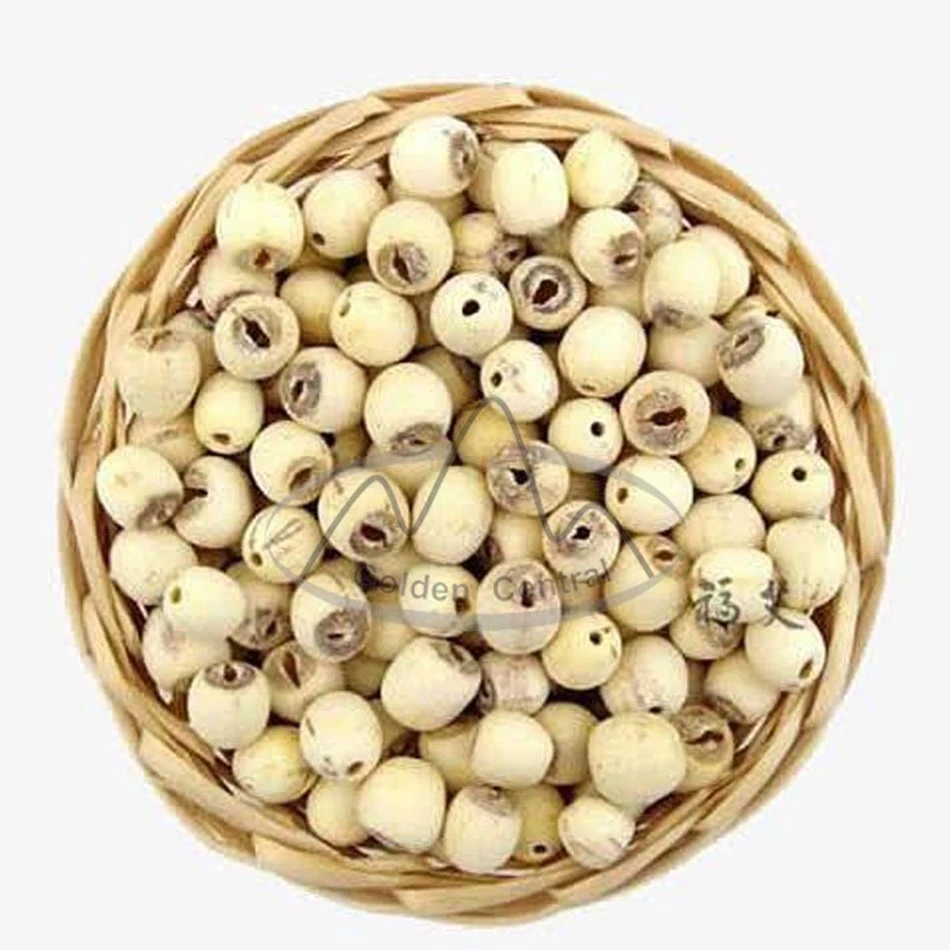 Natural Bulk White Lotus Seed for Soup Health Bubble Tea