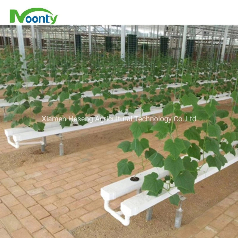 100*50mm PVC Gutter Soilless Greenhouse Vertical Hydroponics Nft Grow System for Lettuce Strawberry