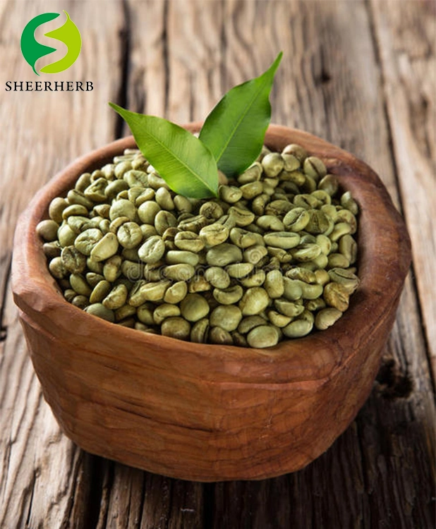 100% Hot Sale Arabica Coffee Beans Fresh Green Coffee Beans in Sheerherb