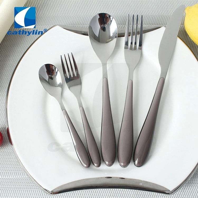 High quality/High cost performance  Personalized Plastic Handle Cutlery for Restaurants