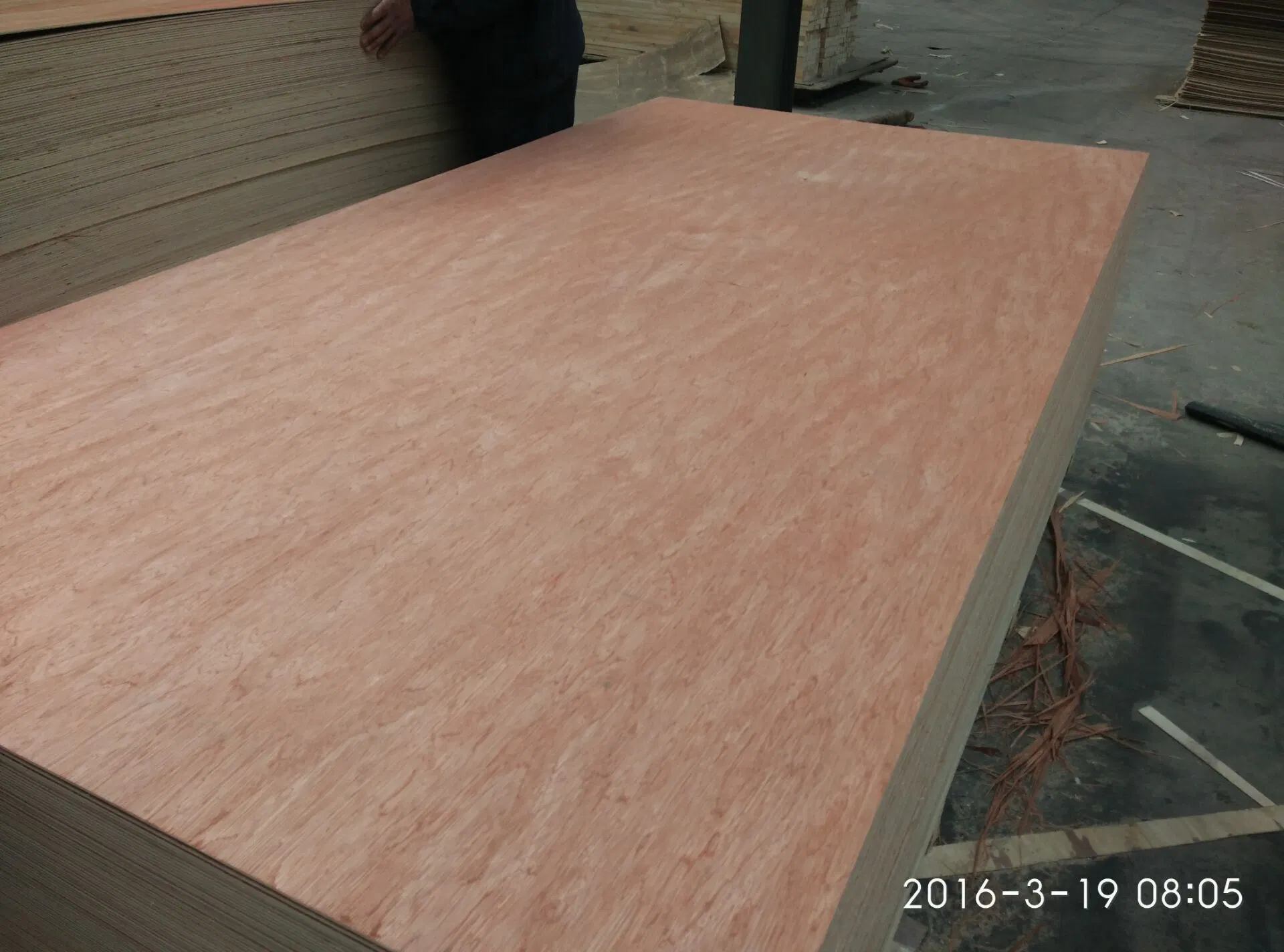 12/18mm High quality/High cost performance Bintangor /Okoume Commercial Plywood