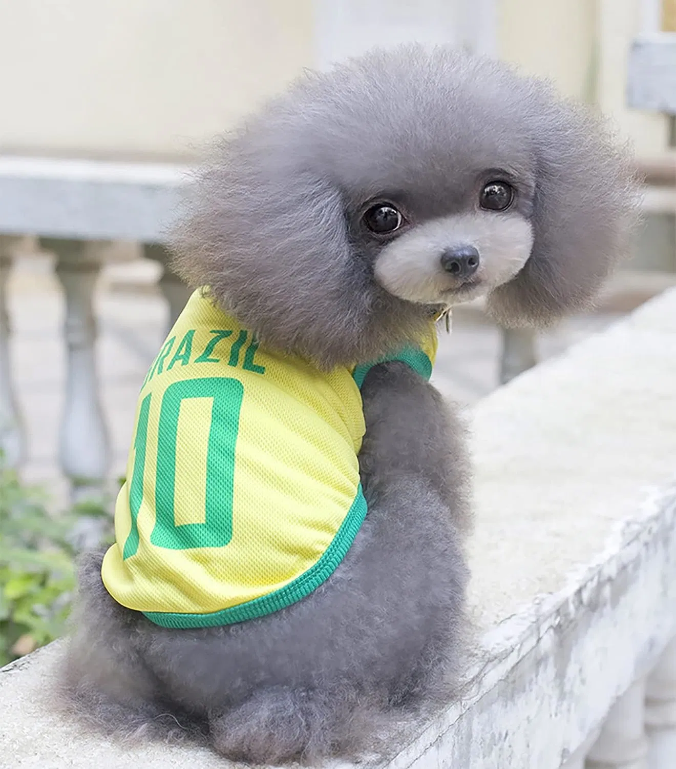 Bestone Dog Soccer Style T-Shirt Pets Football Jersey Sports Soccer National Team Vest Cat Summer Cool Clothes Apparel Brazil X-Small