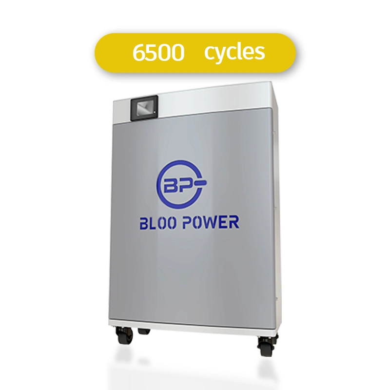 Bloopower 10kw 10kwh 20ah 400 Ah 48 Volt for Home Lighting Residental 10kwh100ah Li Ion Ess Smart System Household The House Power