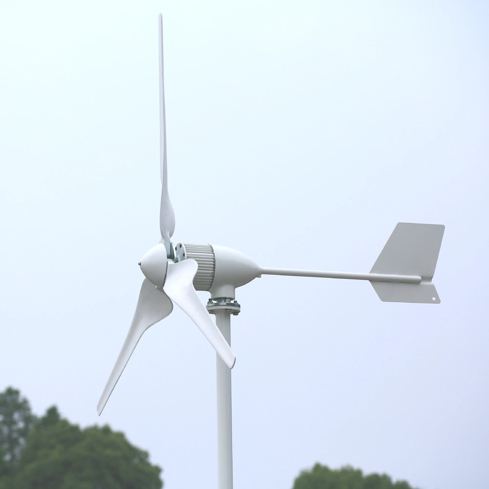 2kw 2.5kw Wind Turbine Generator 24V 48V 96V 120V Windmill