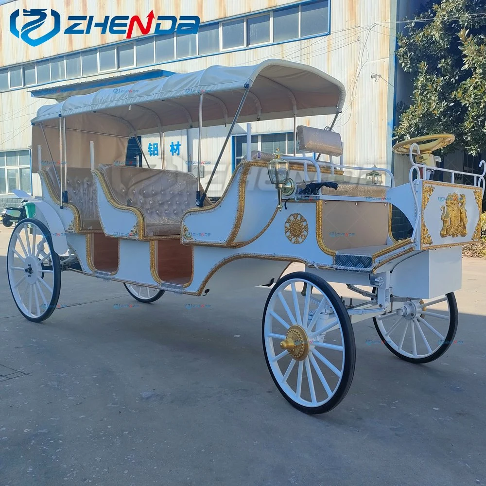 Sightseeing Tourist with Canopy High quality/High cost performance  Horse Carriage