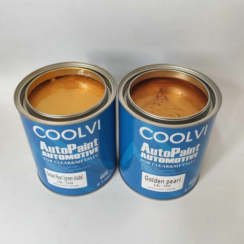 High Performance Repair Supplies Plastic Primer Fast Bumper Coating Car Paint