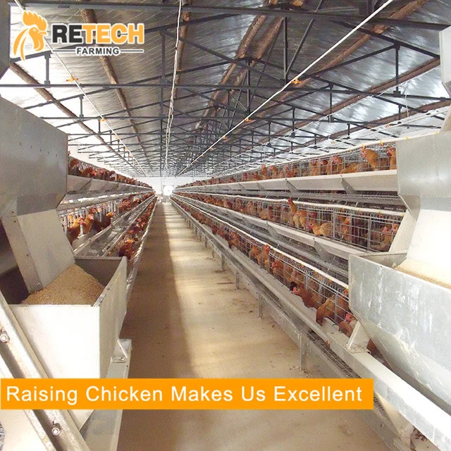 Poultry Farm Equipment Egg Layer Chicken Battery Cages for Sale