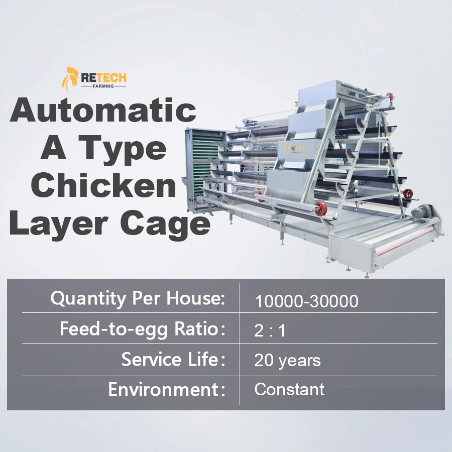 A Type Fully Automatic Poultry Farm Layer Chicken Cage Equipment in Indonesia