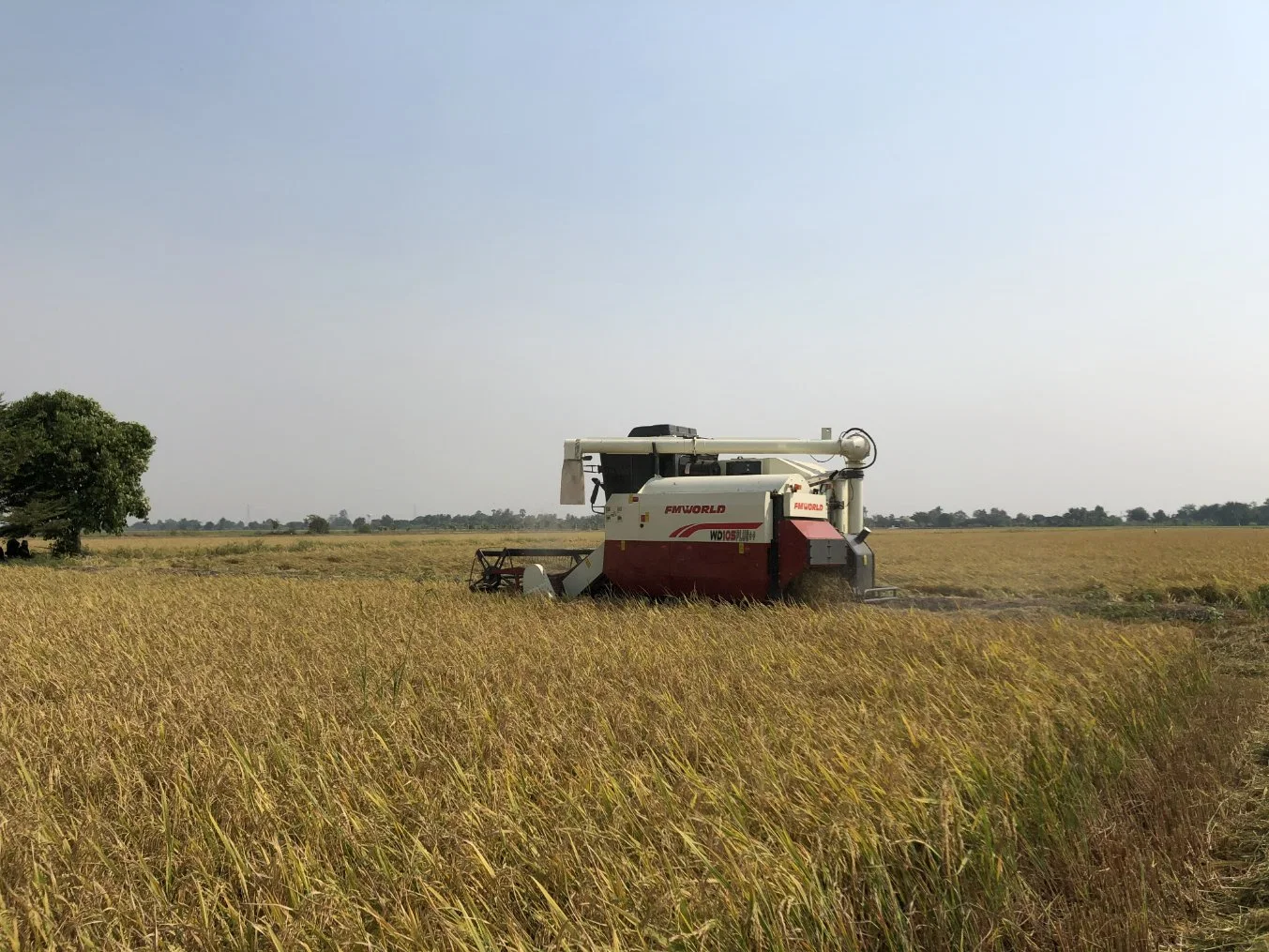 Combine Harvester with Big Grain Tank Ruilong Plus 4lz-6.0p