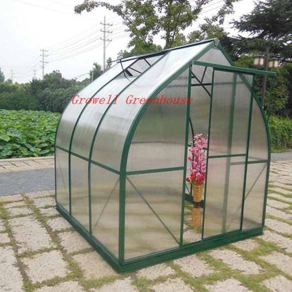 Quality Assurance for Tomato/Cucumber/Lettuce/Pepper PC Board Rain Gutter Planting Greenhouse