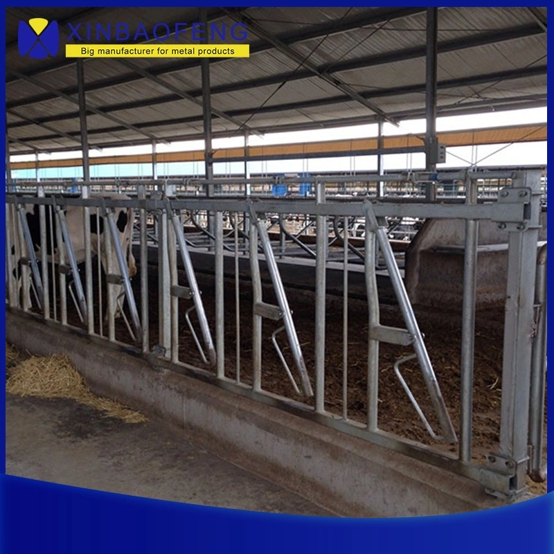 Customised Cattle Headlock Panel