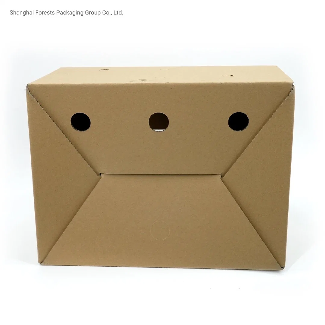 Wholesale/Supplier Corrugated Handle Box Air Holes Shipping Carton Flower Box