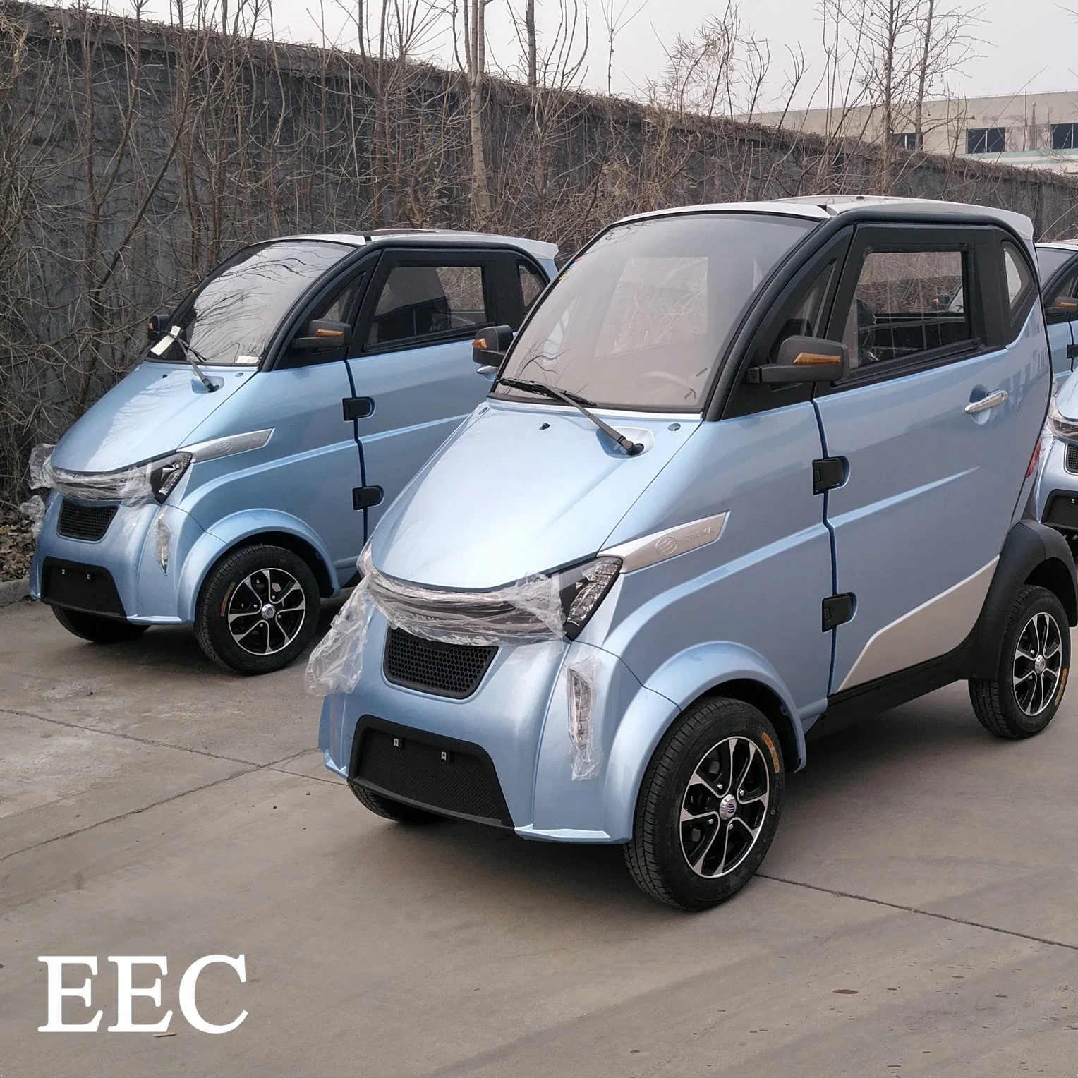 Runhorse coche eléctrico de 4 ruedas con la CEE L2e de la cabina Scooter de movilidad eléctrica