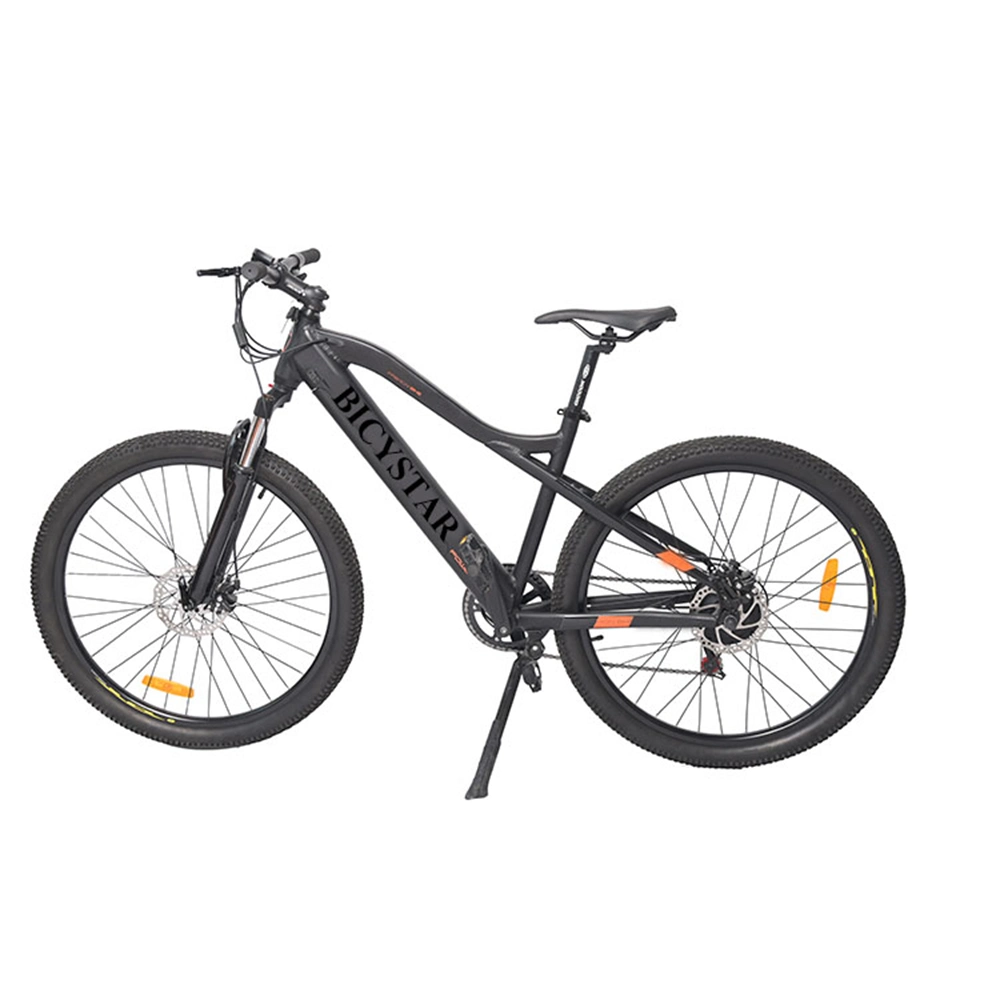 Electric Bike 29 "MTB/Electric Bike 28 Inch Mountain/Electric Bike 28 Inch Adult