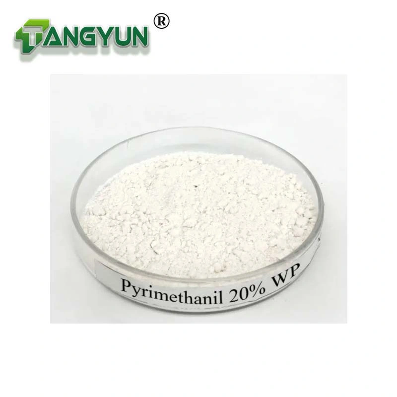 Agriculture Pyrimidine Amine Fungicide Fungicides Pyrimethanil 25% Wp