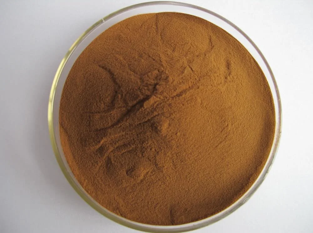 High quality/High cost performance Dogwood Extract Powder 10: 1 20: 1