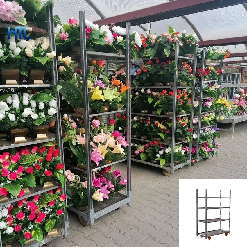 Distribution Centers Propagation Room Danish Plant Greenhouse Flower Nursing Trolley