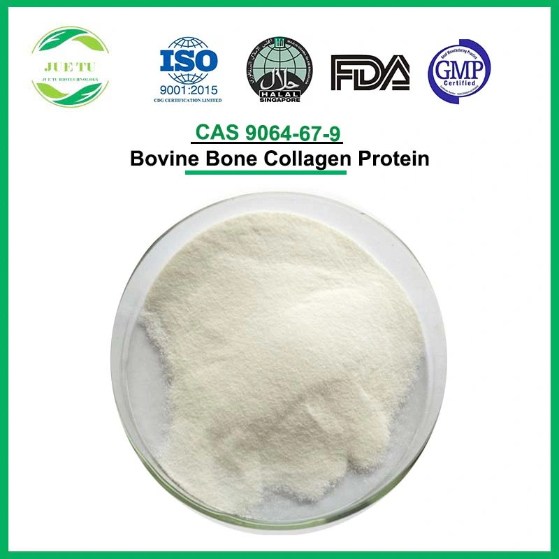 Bone Care Joint Health Supplements Raw Material CAS 9064-67-9 Bovine Collagen