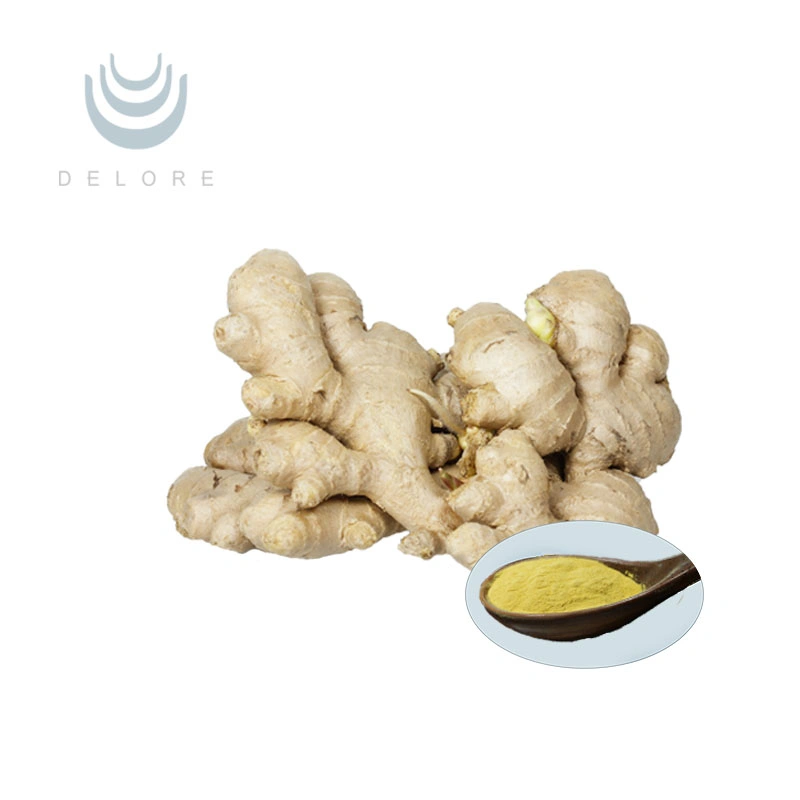 High quality/High cost performance and Natural Benefits Light Yellow Powder Gingerol Ginger Extract Delor Supply Functional Drinks Ginger Powder Good Water Solubility Ginger Extract
