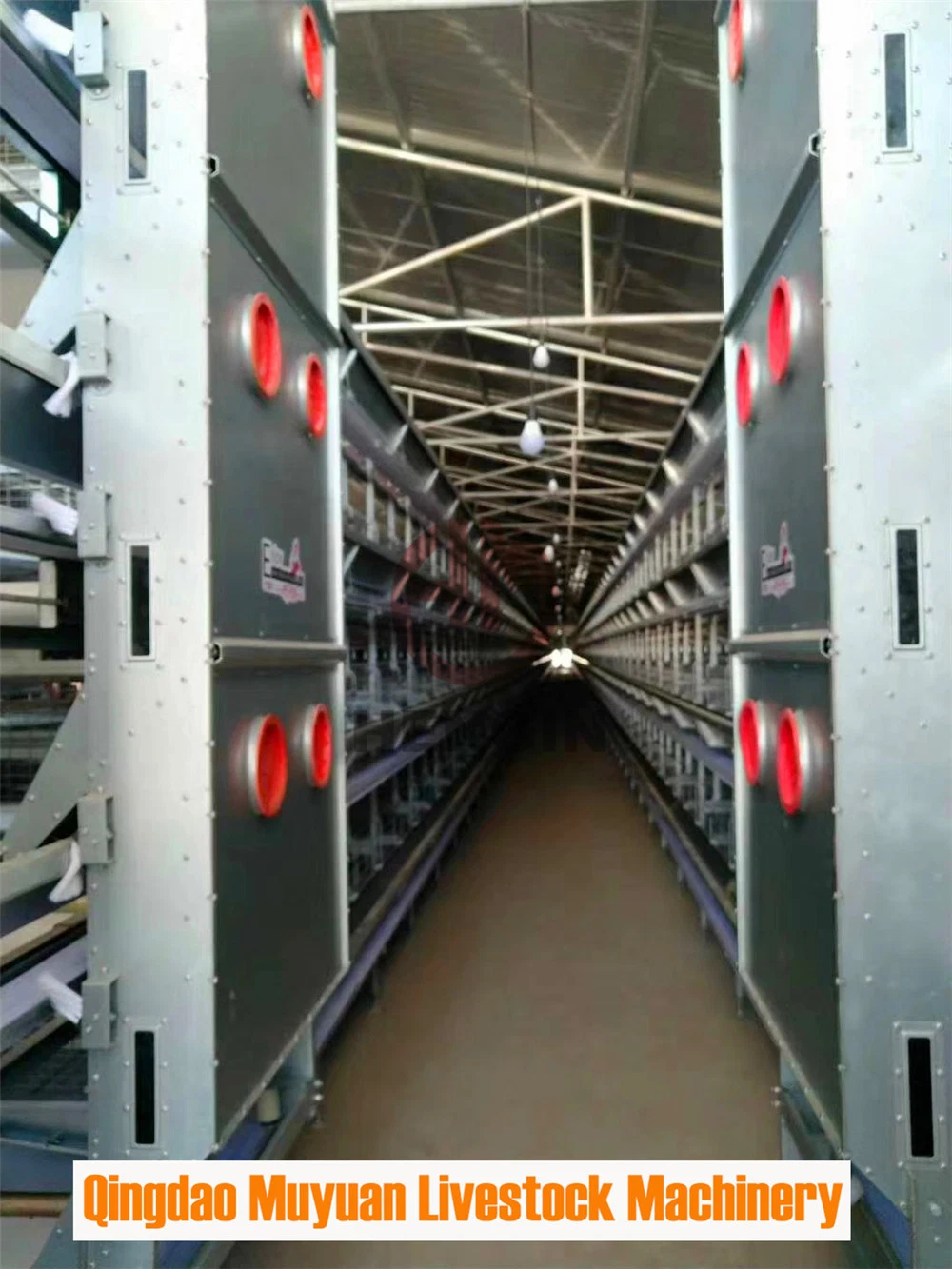 H Type Poultry Farm Livestock Machinery for Chicken Cage System