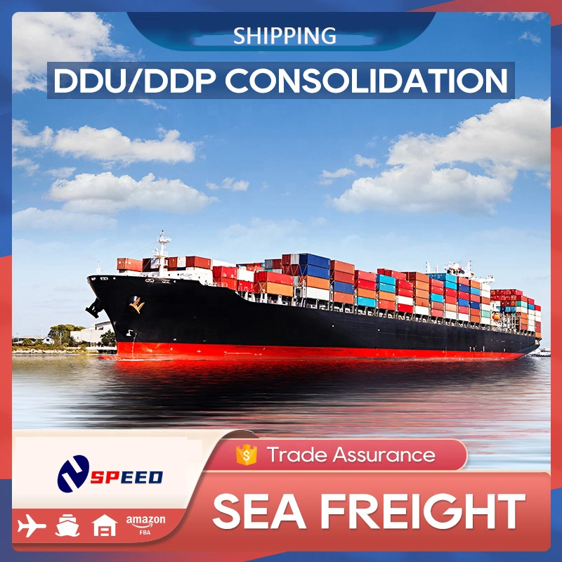 Sea Freight Forwarder China to Canada USA Fba Door to Door