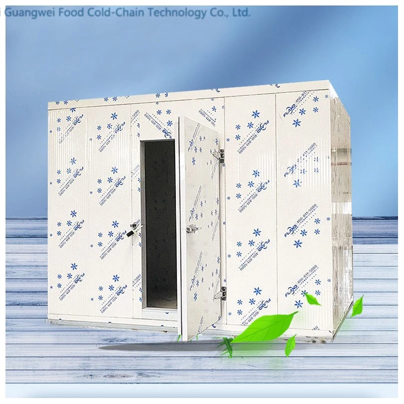 Hot Sale Customized Size 20FT Cold Room Chiller Room Cooler Chiller Chiller Room Cold Storage