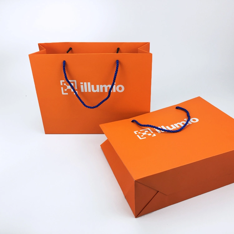 Clothes Paper Packaging Bag with Your Own Logo for Small Business