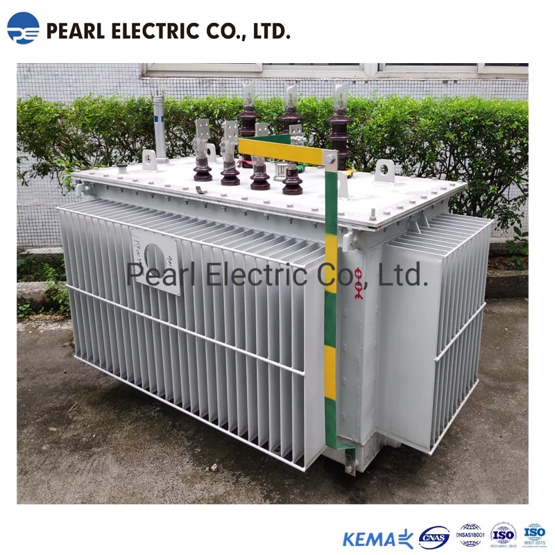 Peo-300kVA 11kv High Efficiency Oil-Immersed Distribution Transformer