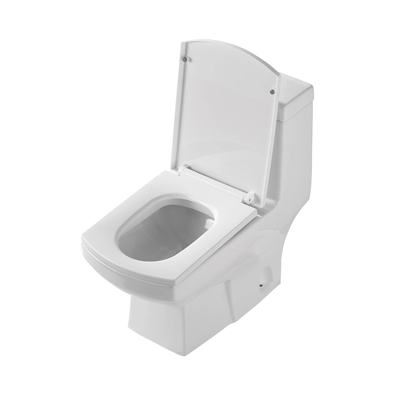 Supplier Bathroom Wc Sanitary Building Material High quality/High cost performance  European Rimless Flushing Soft Seat Cover Floor Mounted Toilet