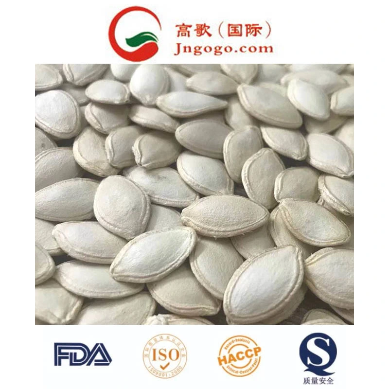 Top Quality Shine Skin White Pumpkin Seeds Grade A