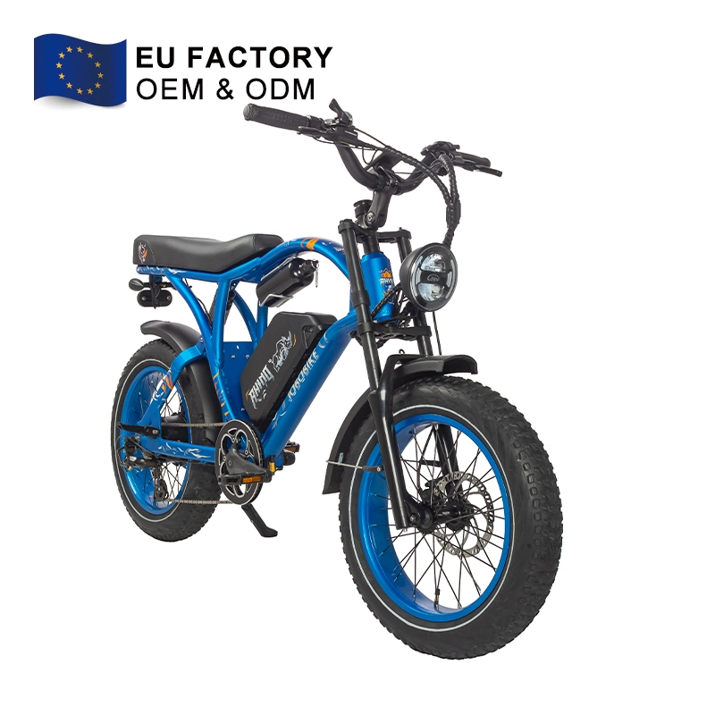 EU Factory High Power Adult Hybrid Mountain Ebike 20 Wheel Электрический городской велосипед