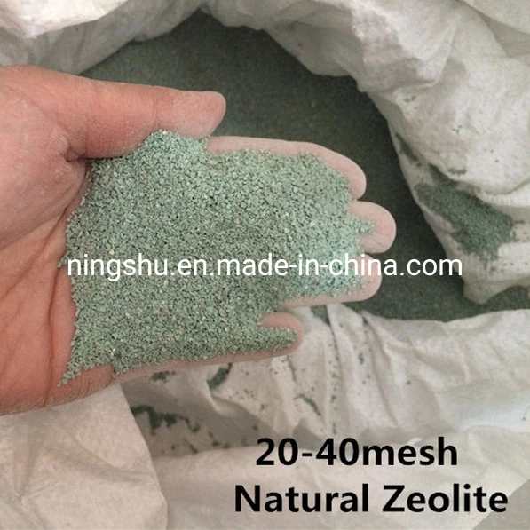 High Porosity and Specific Surface Area Natural Zeolite for Water Treatment