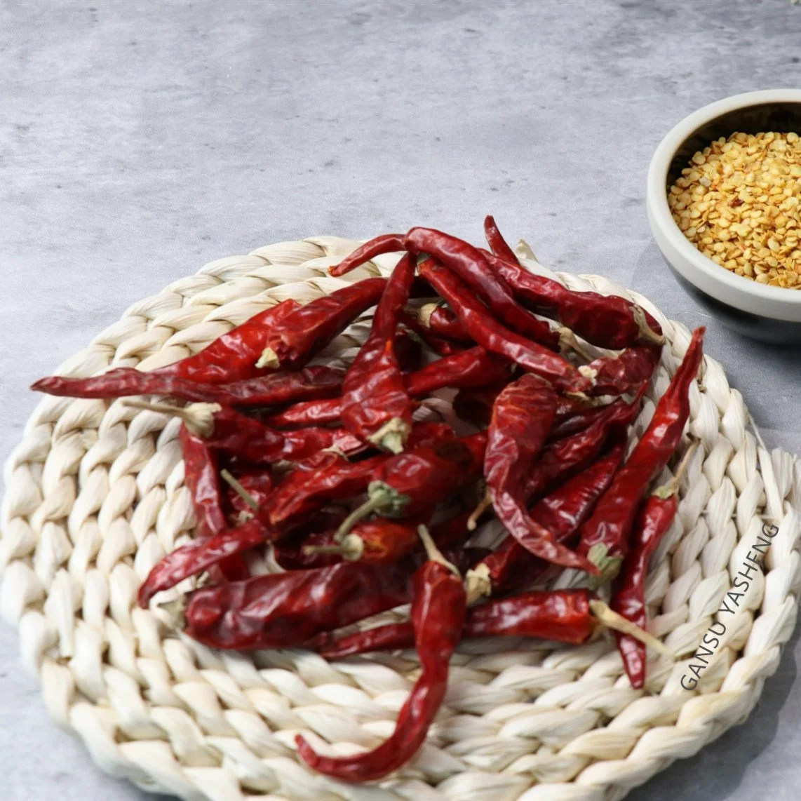 Hot Sale Rojo Chino Paprika picante Pimiento de Chile rojo seco Precio de exportación de Chile