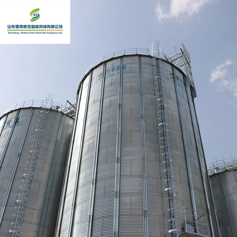 Malt Storage Steel Grain Silos Galvanized Corrugated Sheets Silos for Beer Factory