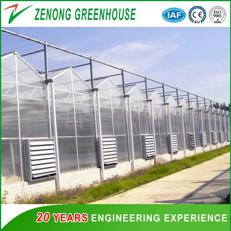 Agriculture Venlo Type PC Greenhouse for Exhibition/Eco Restaurant/Experiment