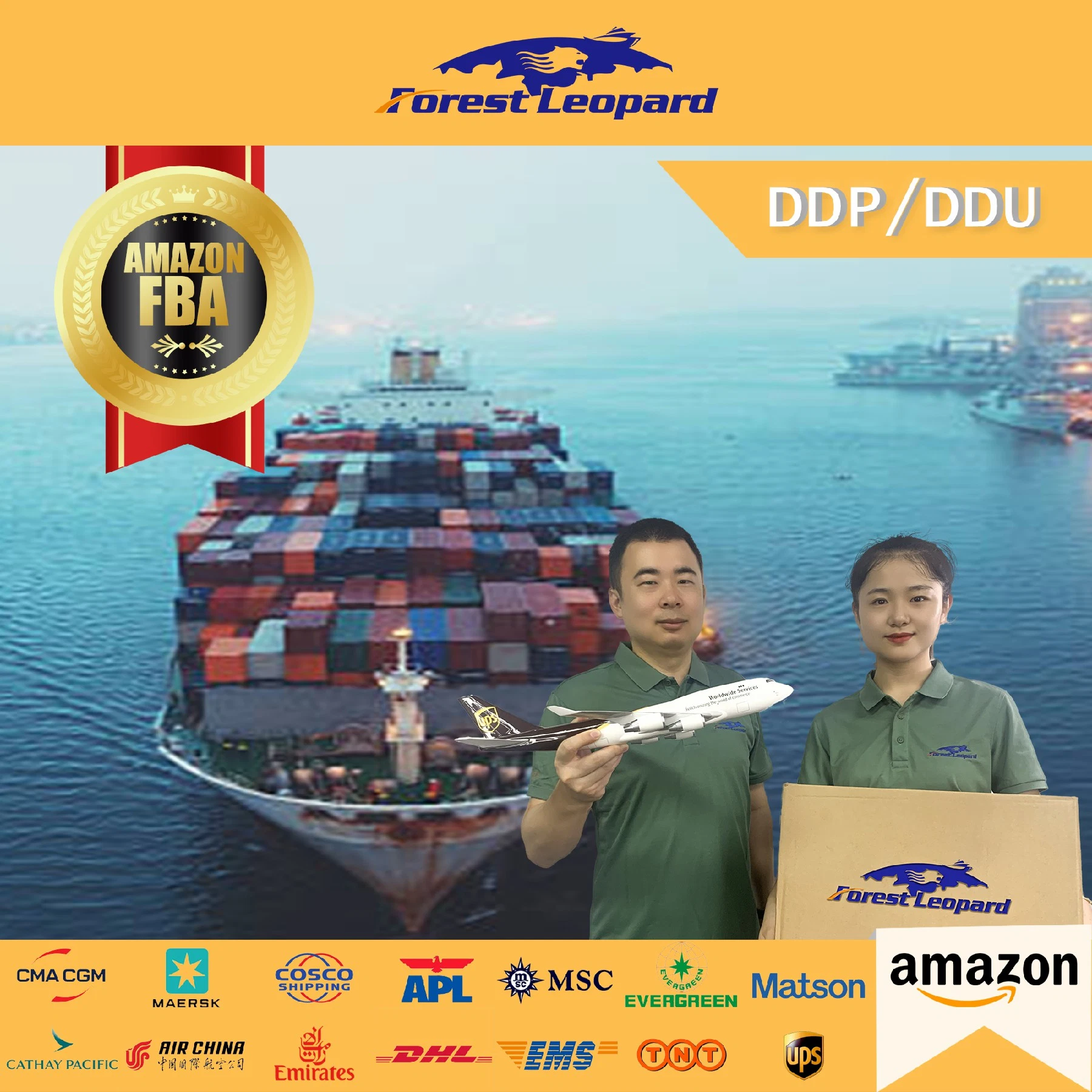 Professional Service and Cheapest Price Seafreght Shipping From Shenzhen China to Europe UK Amazon France Germany Czech